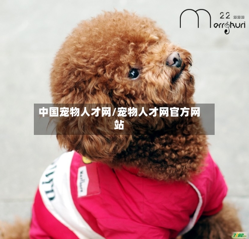 中国宠物人才网/宠物人才网官方网站