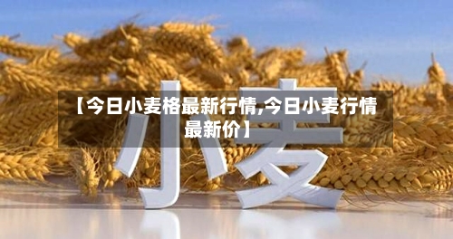 【今日小麦格最新行情,今日小麦行情最新价】