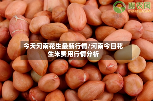 今天河南花生最新行情/河南今日花生米费用行情分析-第2张图片