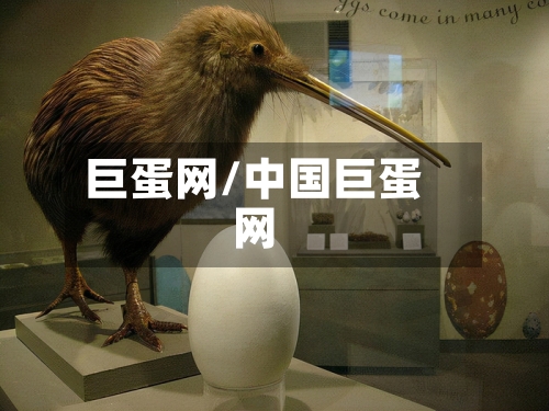 巨蛋网/中国巨蛋网
