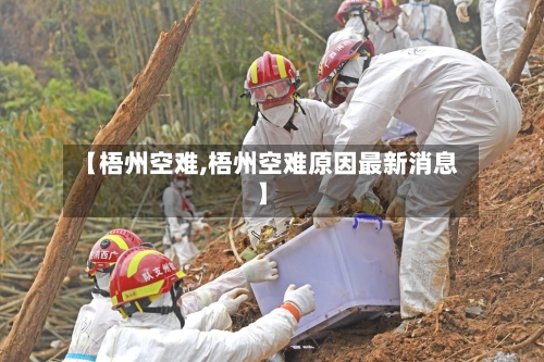 【梧州空难,梧州空难原因最新消息】