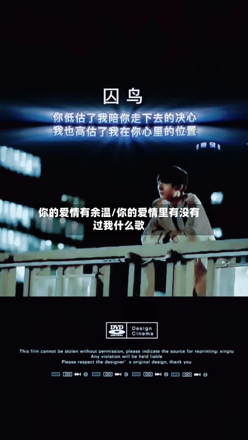 你的爱情有余温/你的爱情里有没有过我什么歌-第2张图片