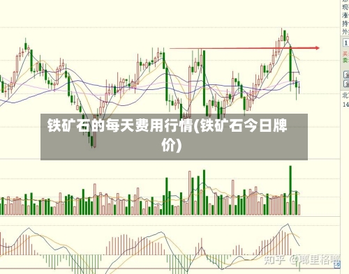 铁矿石的每天费用行情(铁矿石今日牌价)