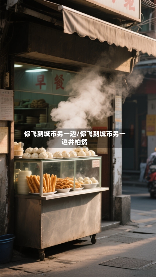 你飞到城市另一边/你飞到城市另一边井柏然