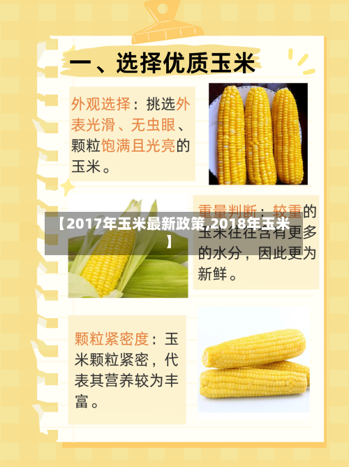 【2017年玉米最新政策,2018年玉米】-第2张图片
