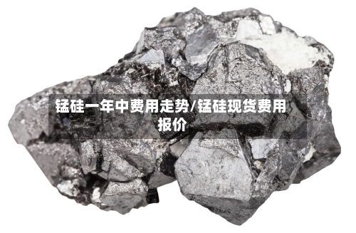 锰硅一年中费用走势/锰硅现货费用 报价-第3张图片