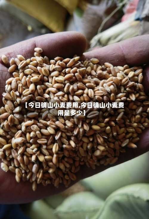 【今日确山小麦费用,今日确山小麦费用是多少】