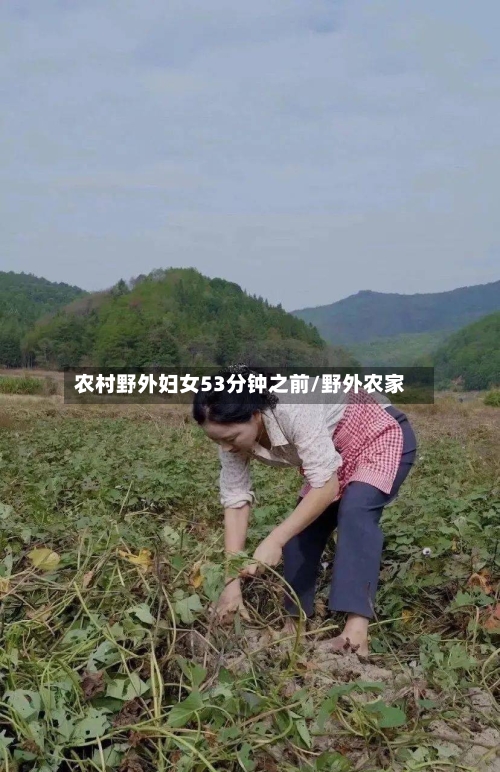 农村野外妇女53分钟之前/野外农家