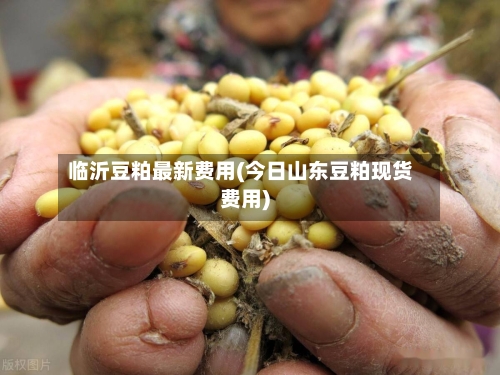 临沂豆粕最新费用(今日山东豆粕现货费用)