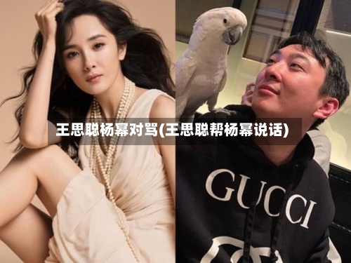 王思聪杨幂对骂(王思聪帮杨幂说话)