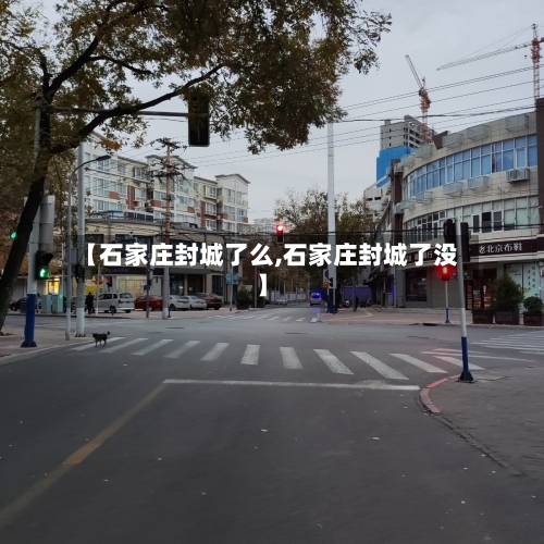 【石家庄封城了么,石家庄封城了没】