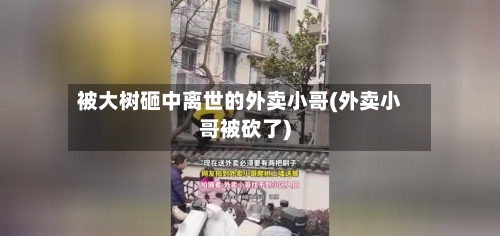 被大树砸中离世的外卖小哥(外卖小哥被砍了)-第2张图片