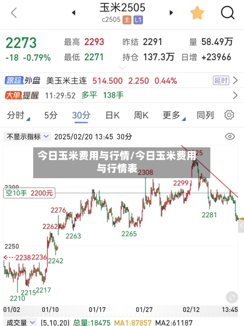 今日玉米费用与行情/今日玉米费用与行情表-第2张图片