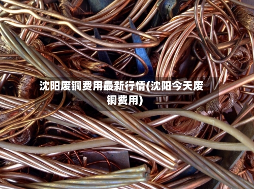 沈阳废铜费用最新行情(沈阳今天废铜费用)-第2张图片