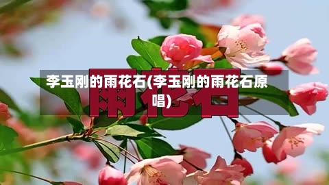 李玉刚的雨花石(李玉刚的雨花石原唱)