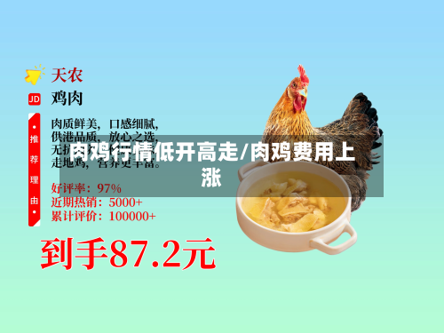 肉鸡行情低开高走/肉鸡费用上涨