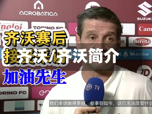 齐沃/齐沃简介
