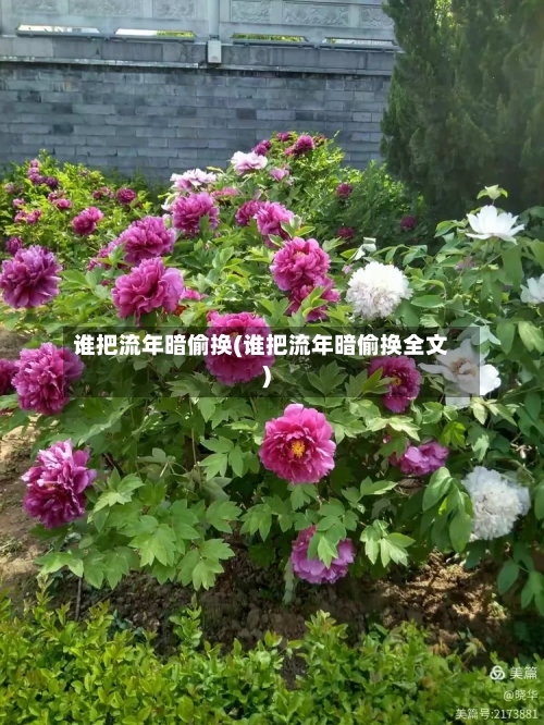 谁把流年暗偷换(谁把流年暗偷换全文)-第2张图片