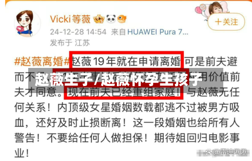 赵薇生子/赵薇怀孕生孩子-第3张图片