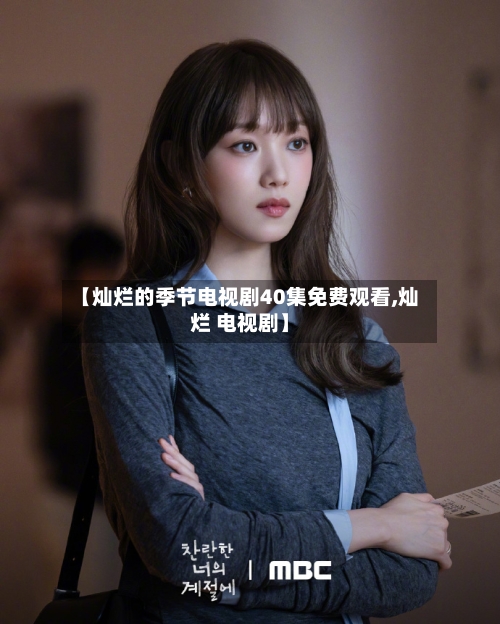 【灿烂的季节电视剧40集免费观看,灿烂 电视剧】-第2张图片