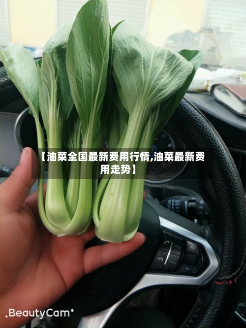 【油菜全国最新费用行情,油菜最新费用走势】-第3张图片