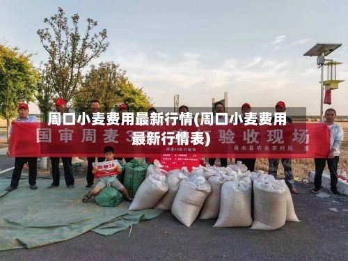 周口小麦费用最新行情(周口小麦费用最新行情表)