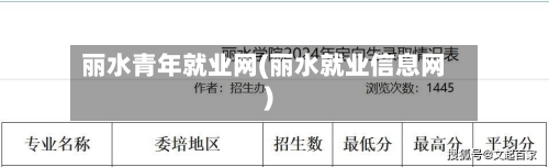 丽水青年就业网(丽水就业信息网)-第2张图片