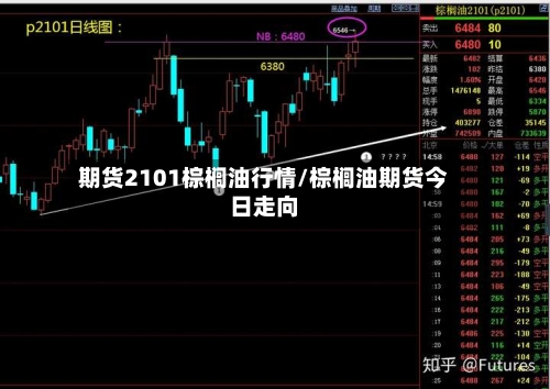 期货2101棕榈油行情/棕榈油期货今日走向-第2张图片