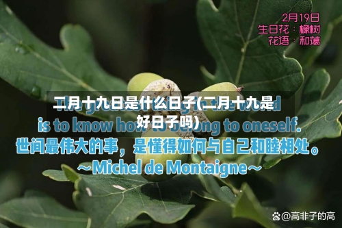 二月十九日是什么日子(二月十九是好日子吗)-第2张图片