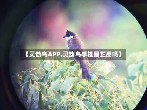 【灵动鸟APP,灵动鸟手机是正品吗】