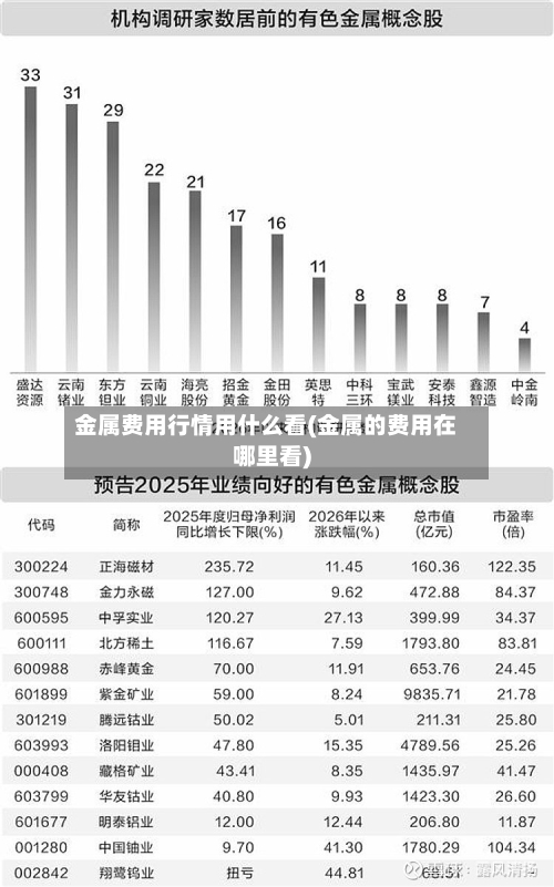 金属费用行情用什么看(金属的费用在哪里看)-第3张图片