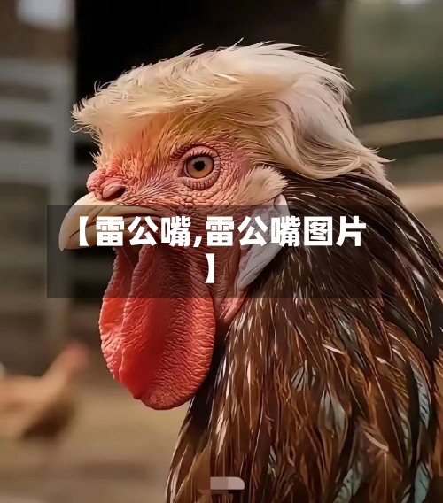 【雷公嘴,雷公嘴图片】