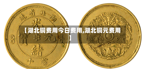 【湖北铜费用今日费用,湖北铜元费用】