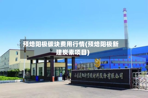 预焙阳极碳块费用行情(预焙阳极新建炭素项目)