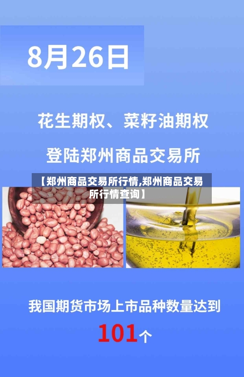 【郑州商品交易所行情,郑州商品交易所行情查询】