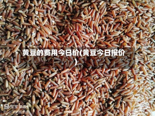黄豆的费用今日价(黄豆今日报价)-第3张图片