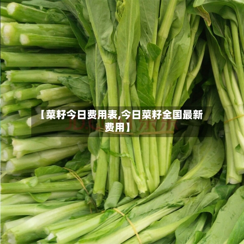 【菜籽今日费用表,今日菜籽全国最新费用】-第2张图片