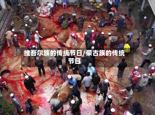 维吾尔族的传统节日/蒙古族的传统节日
