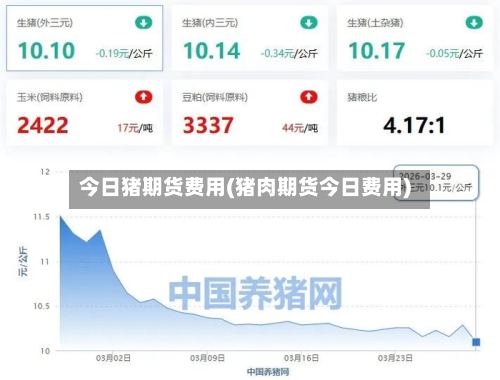 今日猪期货费用(猪肉期货今日费用)-第2张图片