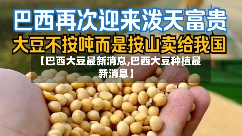 【巴西大豆最新消息,巴西大豆种植最新消息】