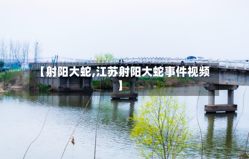 【射阳大蛇,江苏射阳大蛇事件视频】
