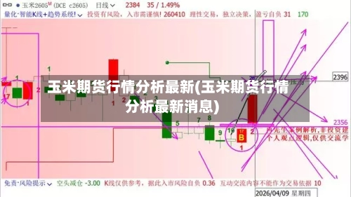 玉米期货行情分析最新(玉米期货行情分析最新消息)-第3张图片