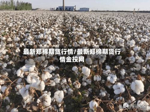 最新郑棉期货行情/最新郑棉期货行情金投网-第2张图片
