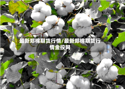 最新郑棉期货行情/最新郑棉期货行情金投网