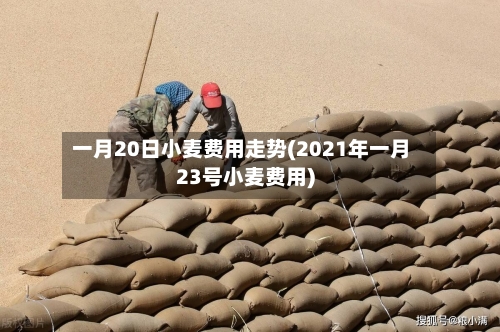 一月20日小麦费用走势(2021年一月23号小麦费用)