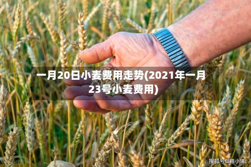 一月20日小麦费用走势(2021年一月23号小麦费用)-第2张图片