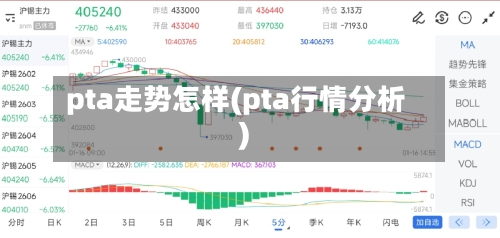 pta走势怎样(pta行情分析)-第2张图片