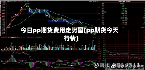 今日pp期货费用走势图(pp期货今天行情)-第2张图片