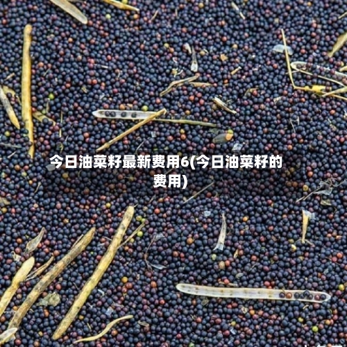 今日油菜籽最新费用6(今日油菜籽的费用)-第3张图片