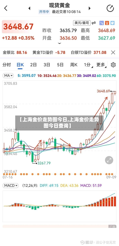 【上海金价走势图今日,上海金价走势图今日查询】-第3张图片